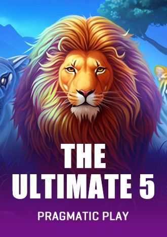 333bet2