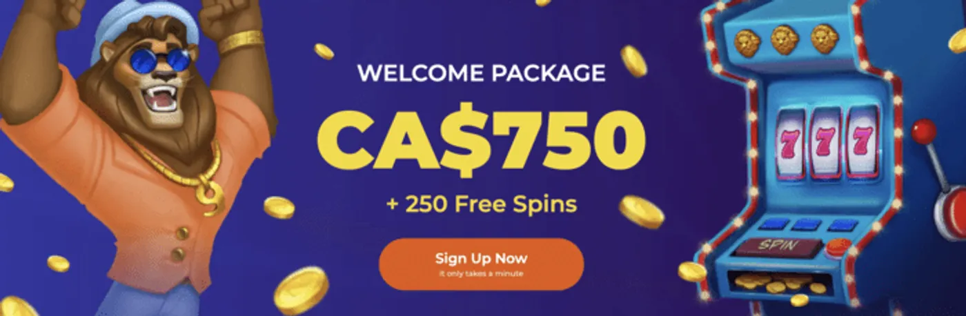 Bonus vbet